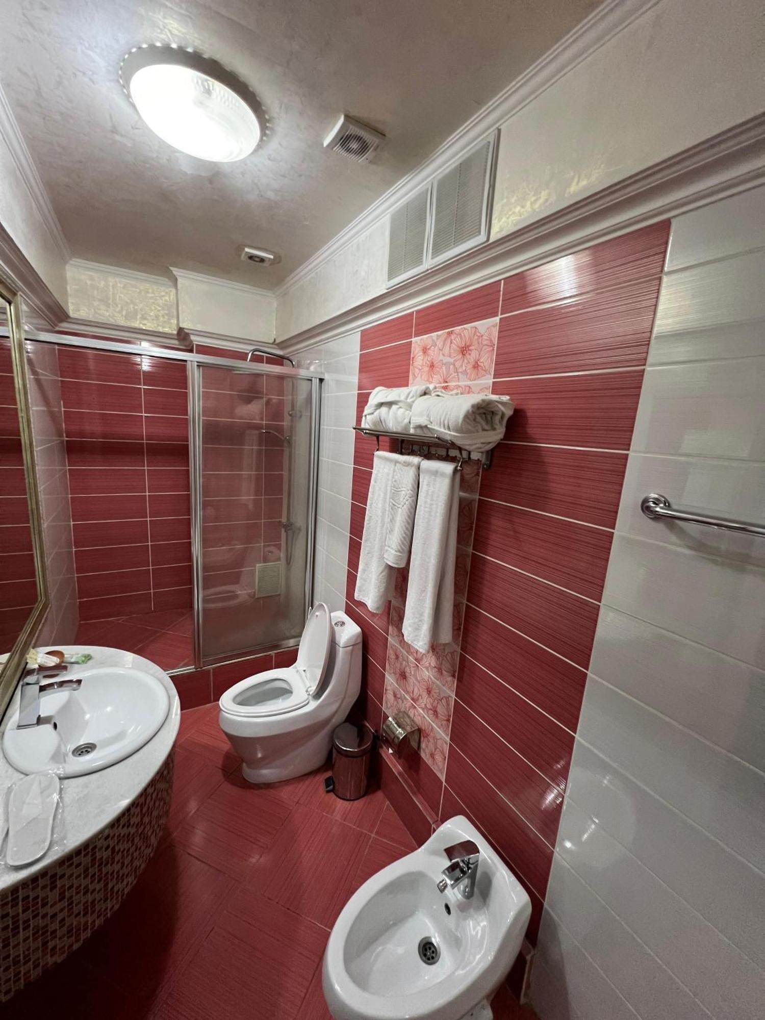 Sary Arka Hotel Tsjimkent Rom bilde